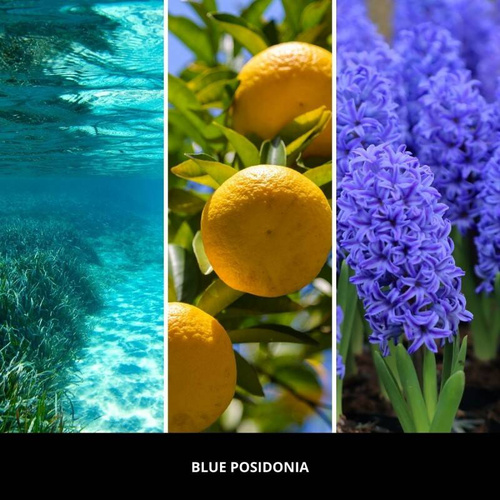 Uzupełnienie do dyfuzora zapachowego Millefiori Millano Blue Posidonia 500ml