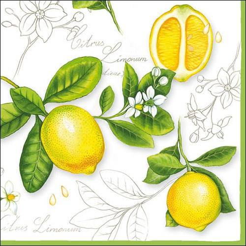 Ambiente serwetki papierowe lunchowe 33x33cm Citrus Limonum